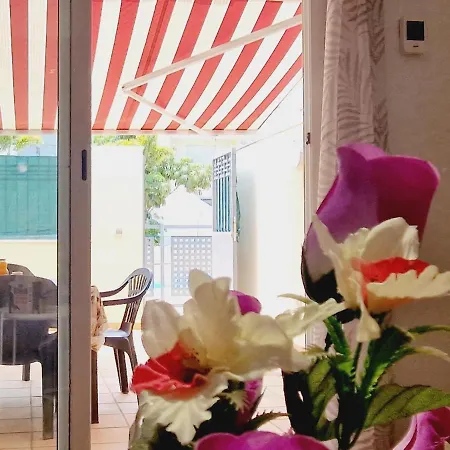 Precious 3 Bedroom, Oasis De Fanabe Wifi Free * אדחה